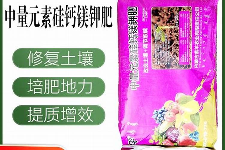葡萄现在刚萌芽用什么药,怎么管理？