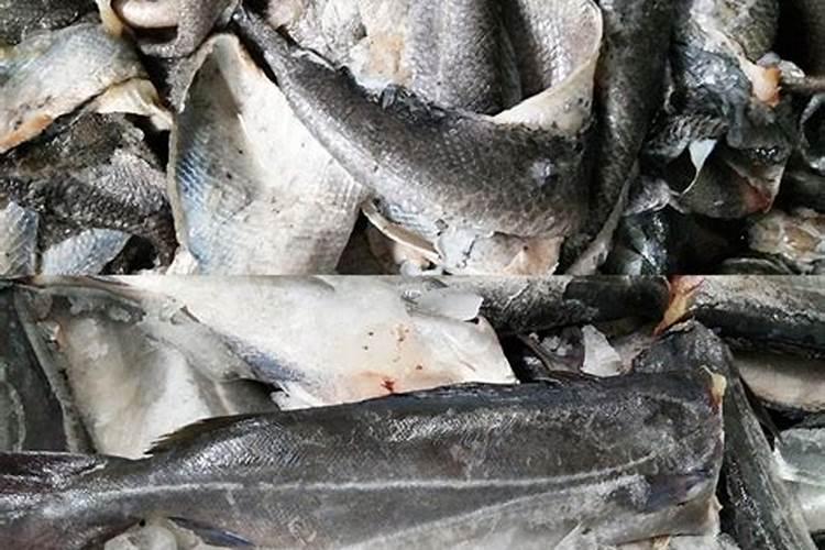 苹果树补钙的叶面肥有哪些苹果树叶面肥一年喷几次都喷什么肥