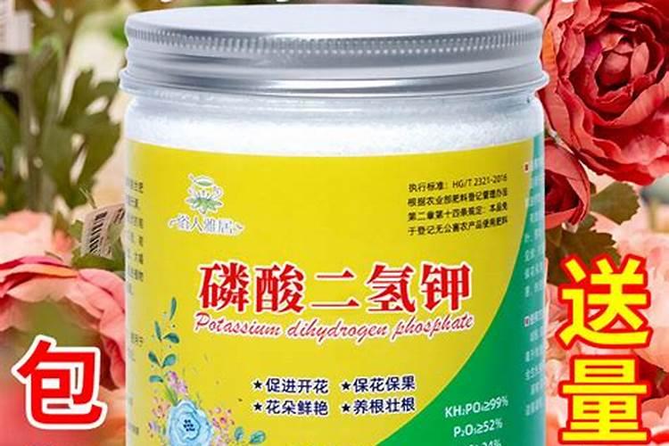 喇叭花施什么肥？氮肥/磷酸二氢钾/氮磷钾复合肥三种肥料