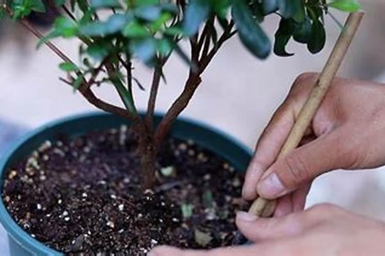 土壤活化剂是什么成分