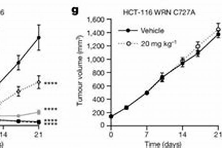 水溶肥十大名牌