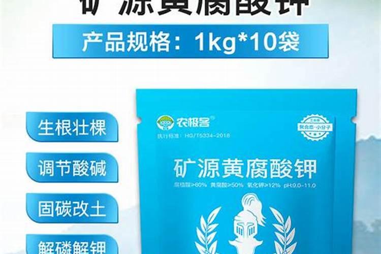 过期的钙片有什么用途(过期钙片可以浇花吗)