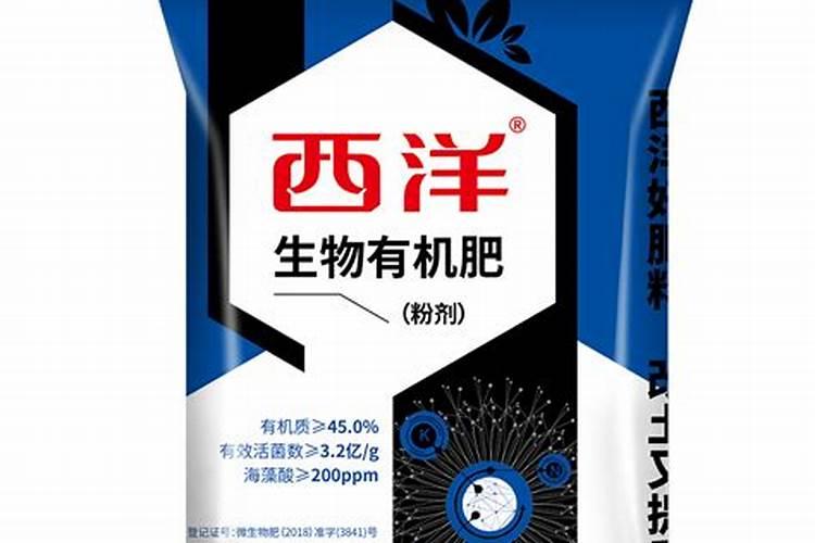 西洋滨菊适合什么肥料