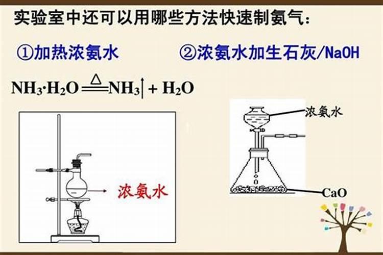 怎样检验铵态氮肥