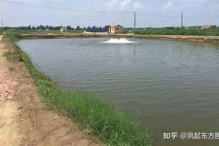 虾塘肥水用复合肥一亩要多少