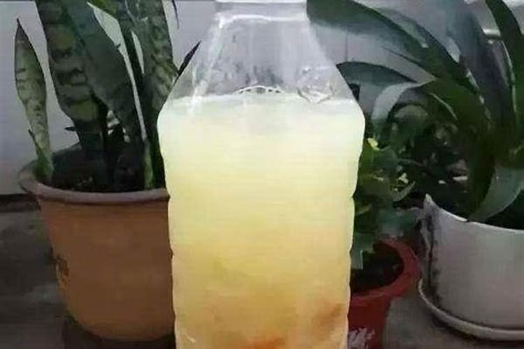 黄豆水是氮肥还是磷肥