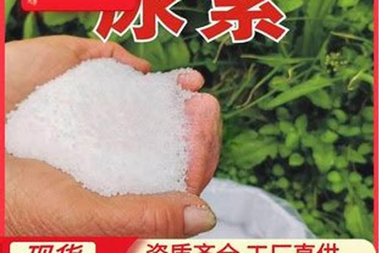 辣椒用什么肥料才能高产？