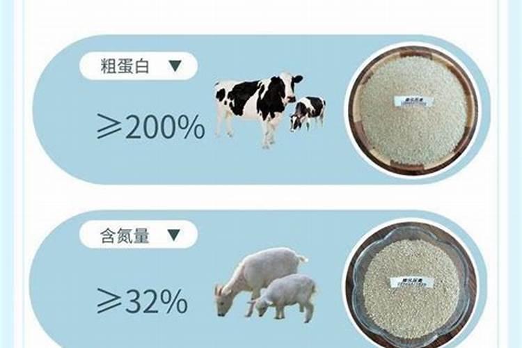 牛羊在消化中排出大量甲烷和什么