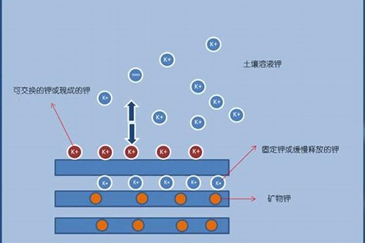 撒完复合肥后持续下雨怎么办？