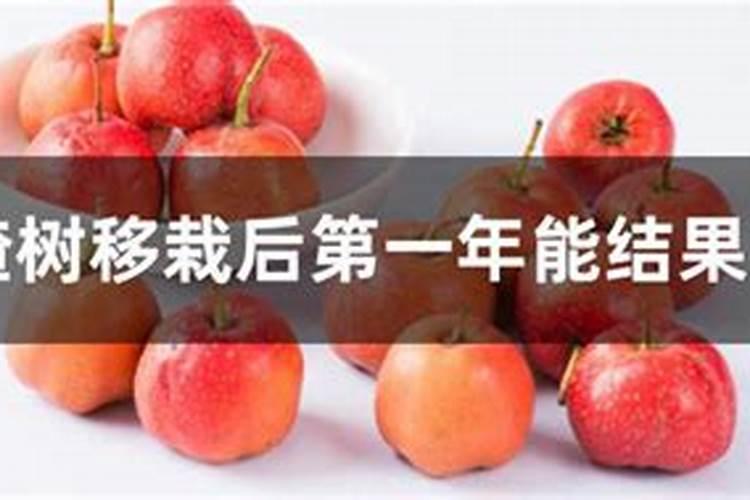 刚种下的果树苗多久才可以施肥