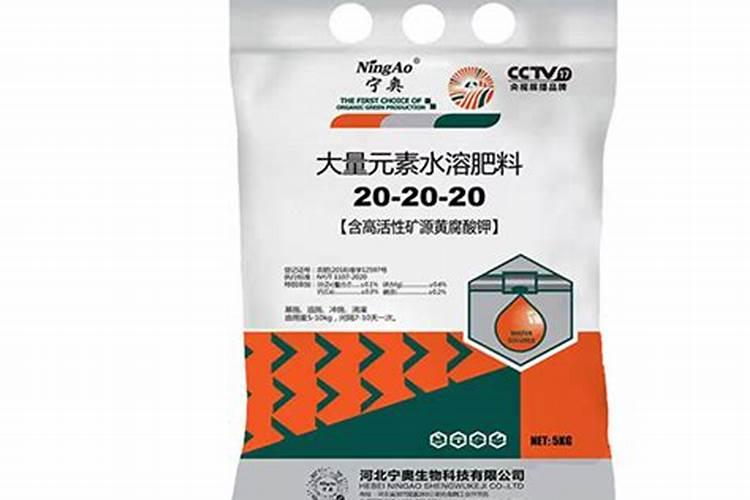 养殖绿萝需要每天都浇水吗？