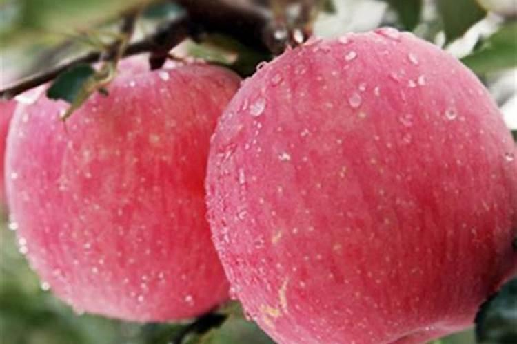 水溶肥ec值多少合适