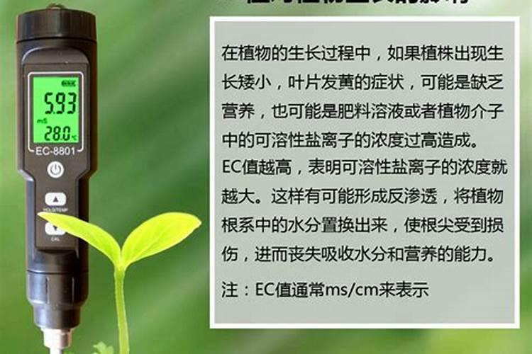 水溶肥使用技巧