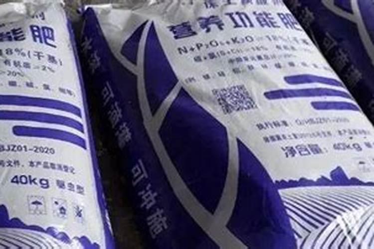 种完西瓜之后,育稻苗需要注意什么？