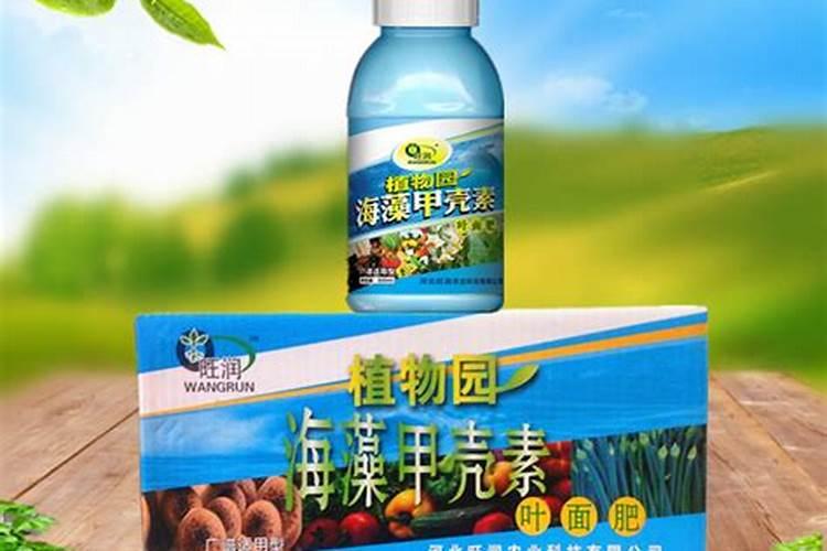 发财树浇什么肥最好