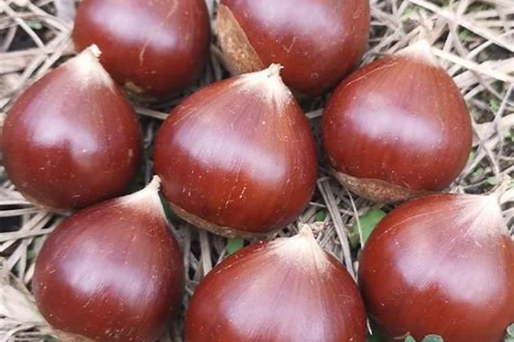 复方氨基酸注射液(18AAI)贮藏方法