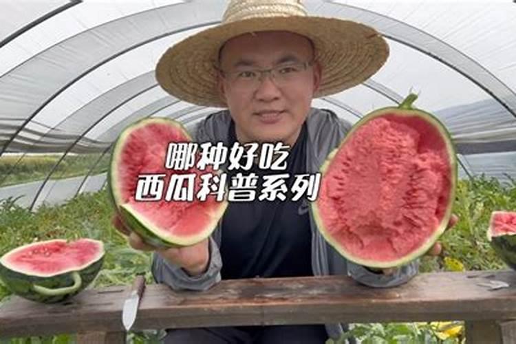 西瓜结果后施什么肥料