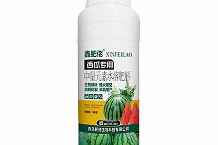 西瓜生长发育需要哪些元素