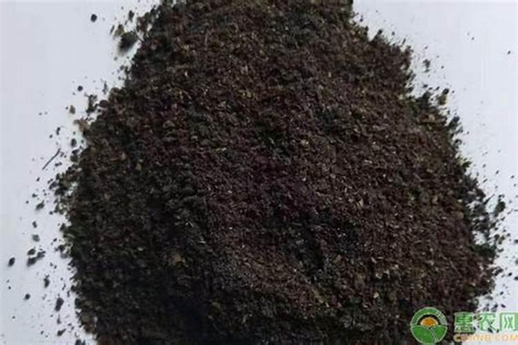 为什么粪便是很好的肥料呢？