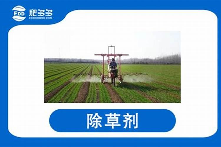 草甘膦加尿素除草效果如何