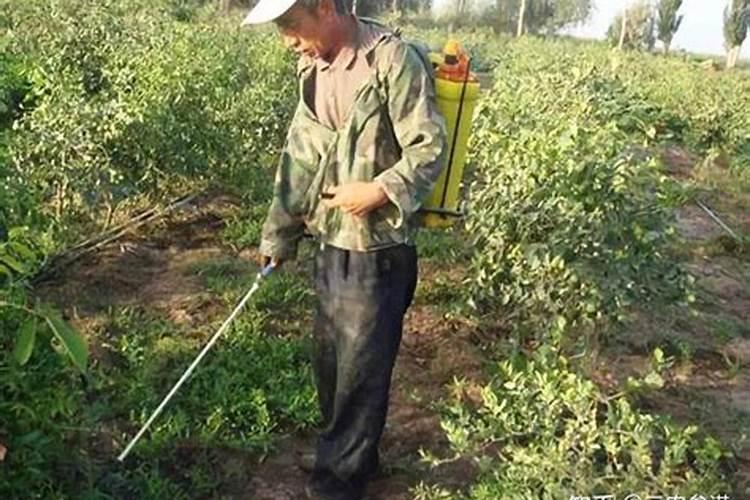 除草剂加尿素有什么作用