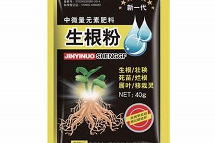 地瓜肥料正确使用方法