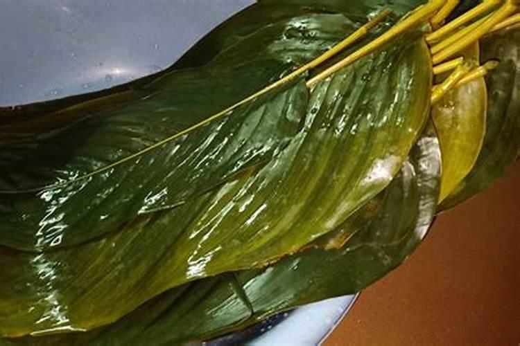 小麦粽子用什么肥料最合适,周口