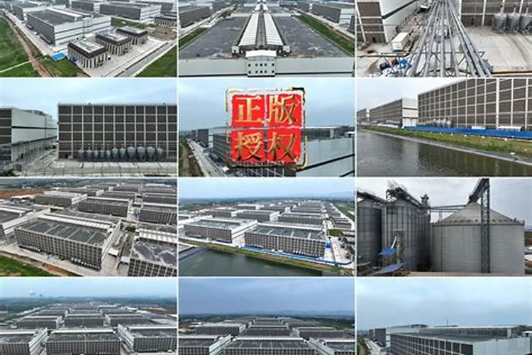 河南省南阳市有多少水泥厂？