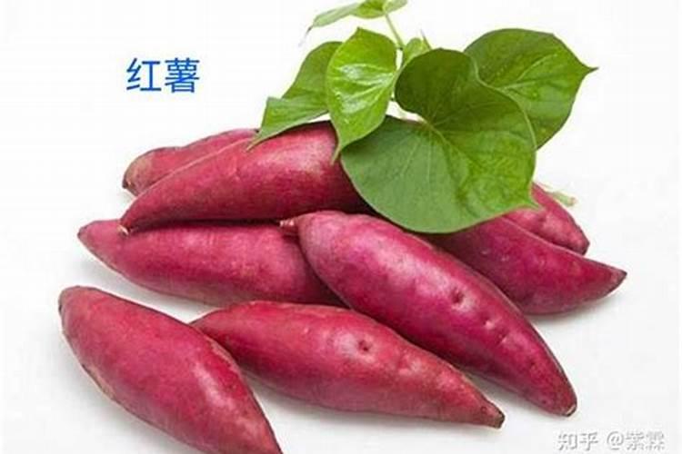 一帆风顺叶片表面可以喷土豆水吗？