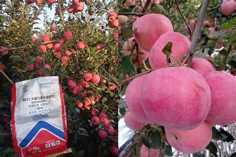 络合有机钙水溶肥的作用