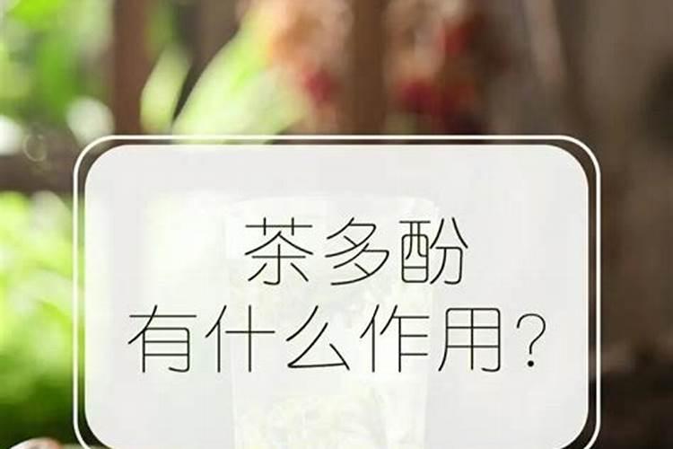 【红茶俱乐部】为什么茶多酚含量高的茶树品种适制红茶？