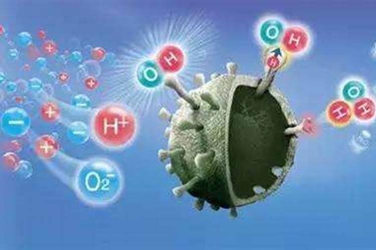 植物17种必要元素及其作用