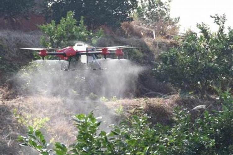 水稻田打过叶面肥多久能打除草剂？