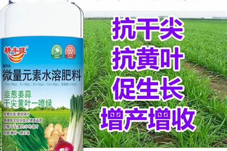 蒜苗适合用什么叶面肥