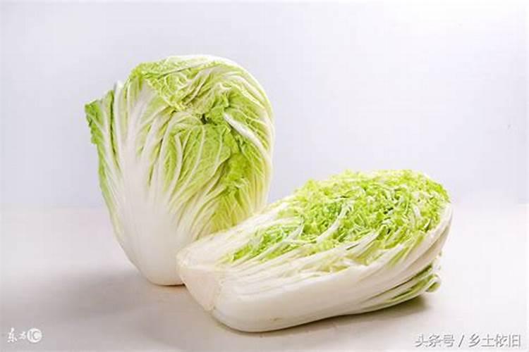 芸苔素能不能解药害 有哪些作用