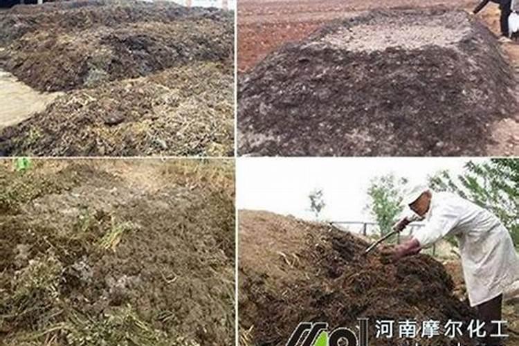 农家肥用什么发酵最好农家肥怎样才算发酵好了