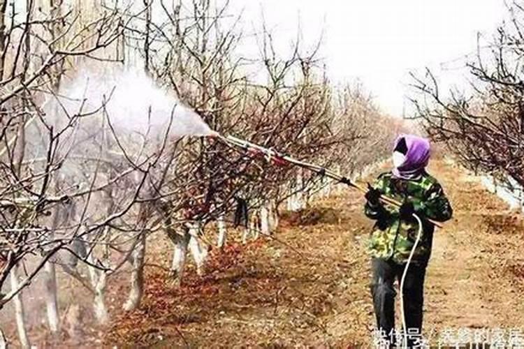 高效氯氟氰菊酯可以和叶面肥一起用吗