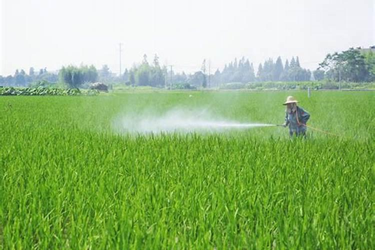颗粒状的平衡型水溶肥有哪些