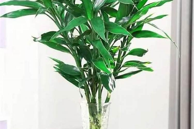 水稻一亩需要的氮磷钾