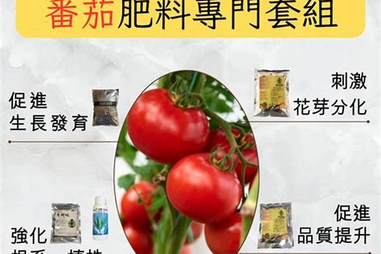 猕猴桃施肥的最佳时间 猕猴桃什么时候施肥