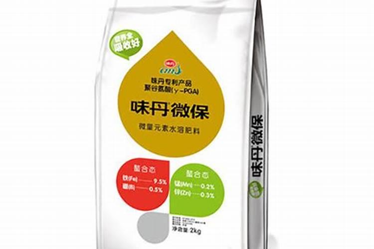 春天月季怎么施肥