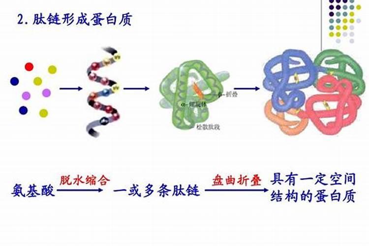鱼蛋白对植物的作用