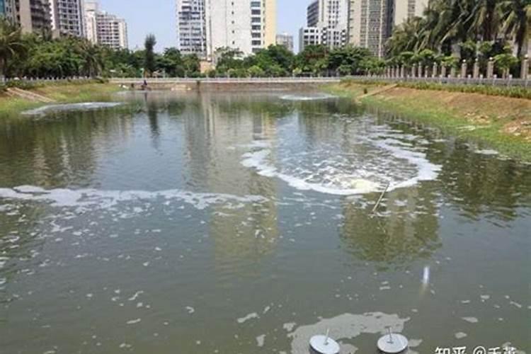 鱼塘水发黑怎么才能让水变清