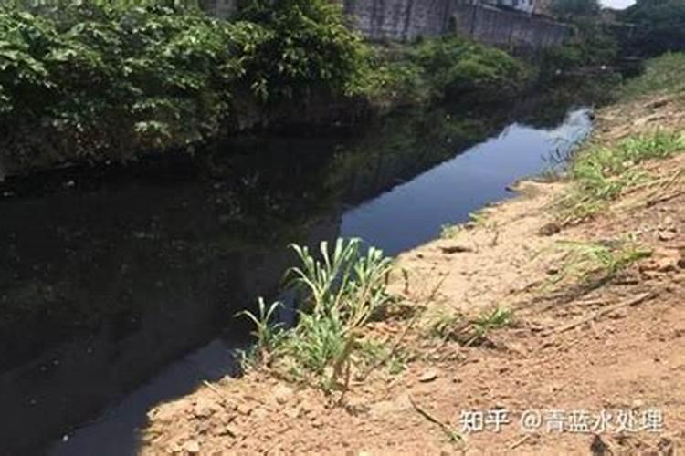 池塘水发黑快速处理方法 都有什么办法可以解决