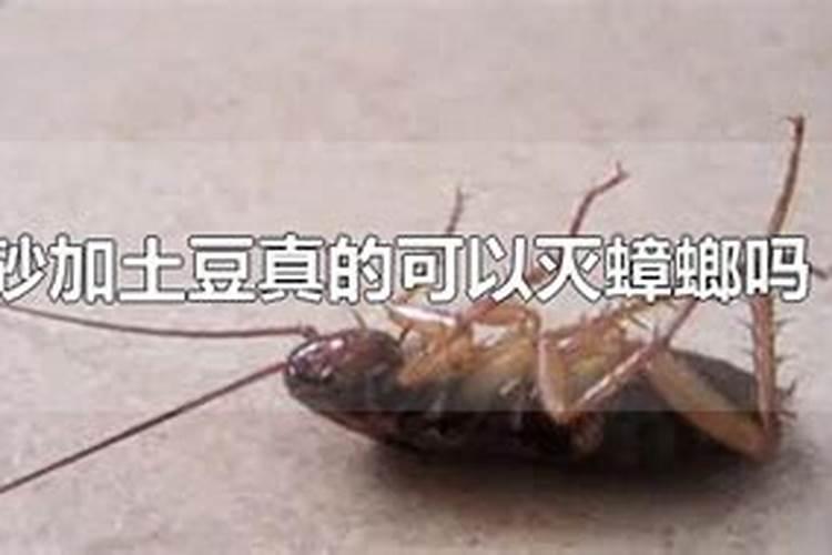 种植马铃薯的时候需要用到基肥吗？用什么作基肥比较好？