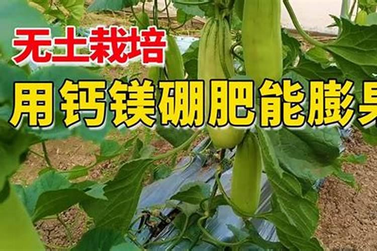 硼肥可以灌根吗？