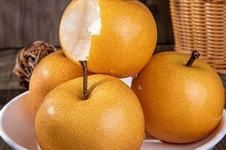 枝枝花黄叶子怎么回事