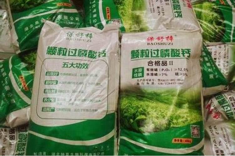 种谷子用什么肥料好