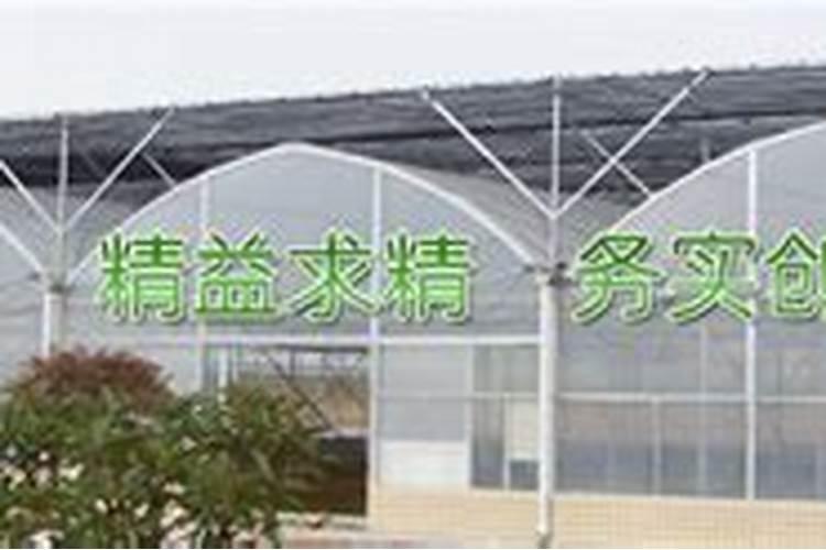 大棚蔬菜的主要肥害、药害、及解决办法