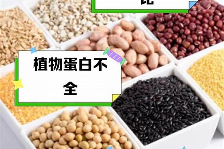 鱼蛋白对植物的作用是什么？